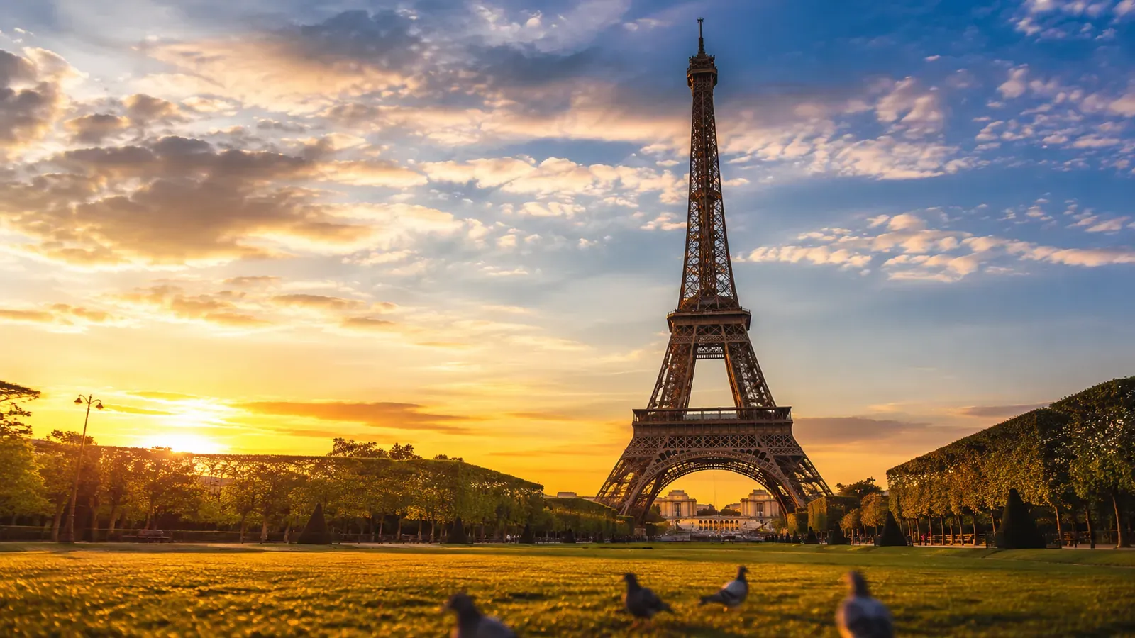 United Arab Emirates to Schengen Area Visa